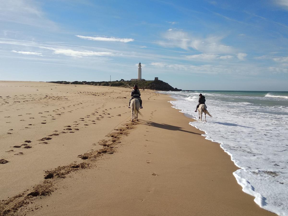 Viviendas Turisticas El Mero Zahora Bagian luar foto